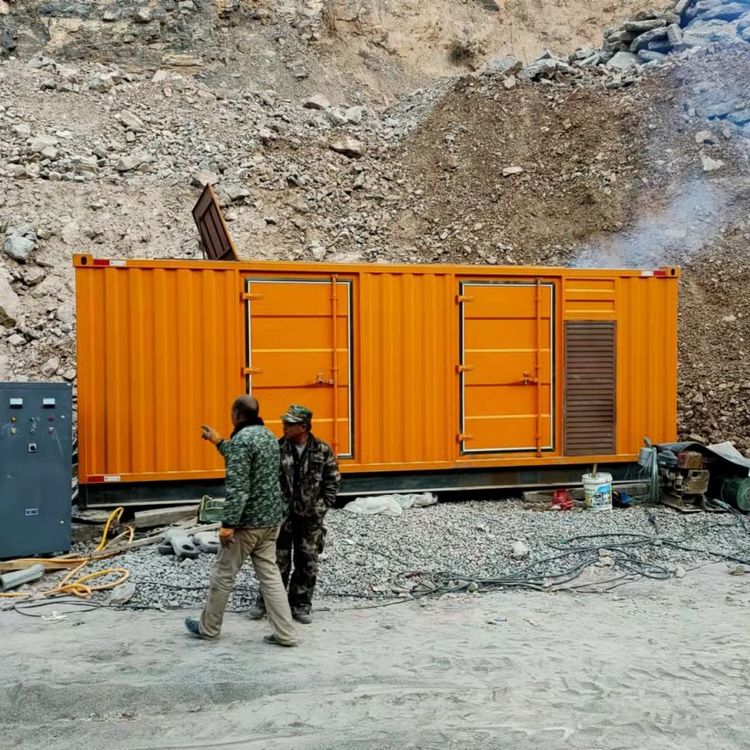 沙湾如何选择适合自己的 800KW 柴油发电机组？